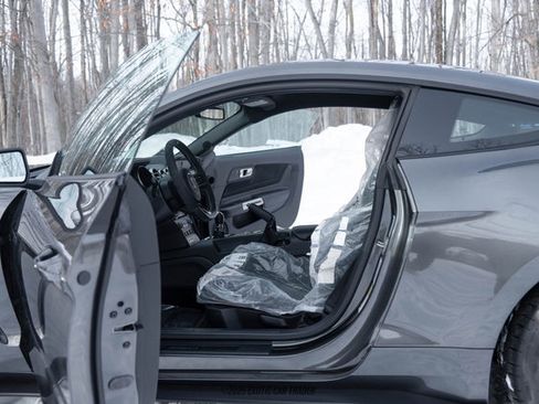 Used 2015 Ford Mustang Shelby GT350 image 28