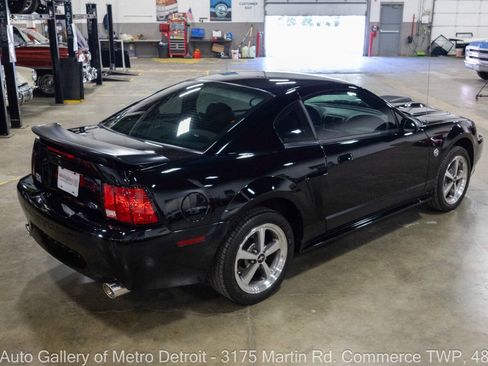 Used 2004 Ford Mustang Mach 1 RWD image 7