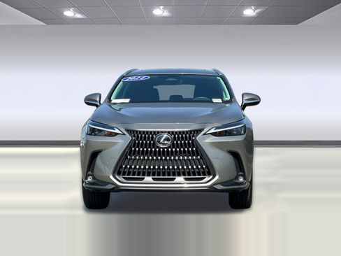 Certified 2024 Lexus NX 350h AWD w/ Cold Area Package image 5