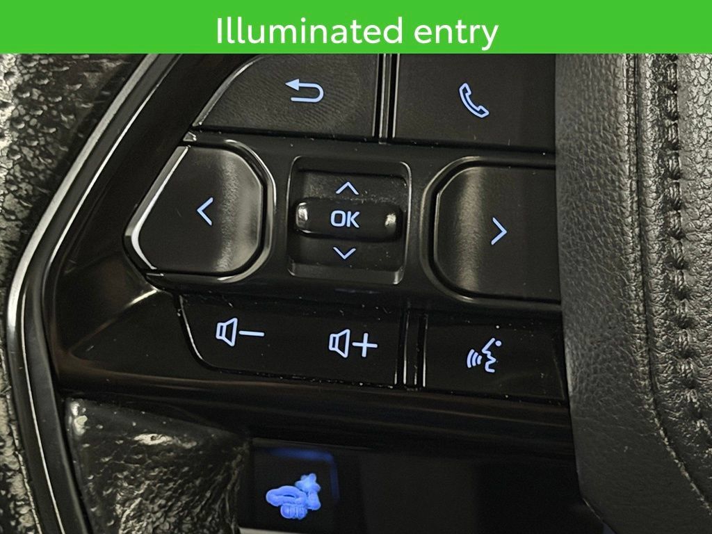 Used 2022 Toyota Tundra TRD Pro AWD/4WD image 41