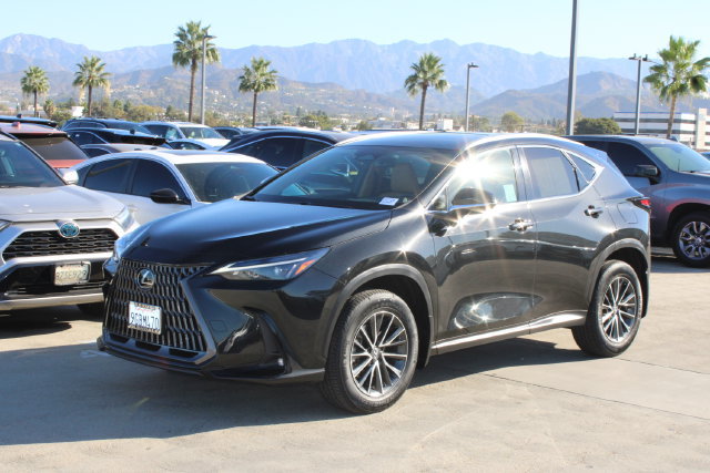 Certified 2024 Lexus NX 350h AWD w/ Cold Area Package image 3