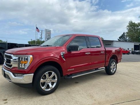 Used 2021 Ford F150 XLT w/ Equipment Group 302A High image 2
