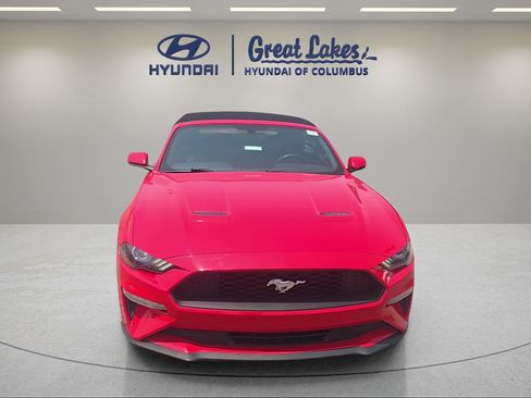 Used 2019 Ford Mustang Convertible RWD image 8