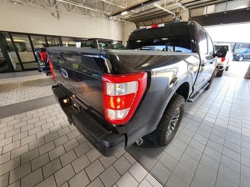 Used 2023 Ford F150 XL w/ STX Appearance Package RWD image 4