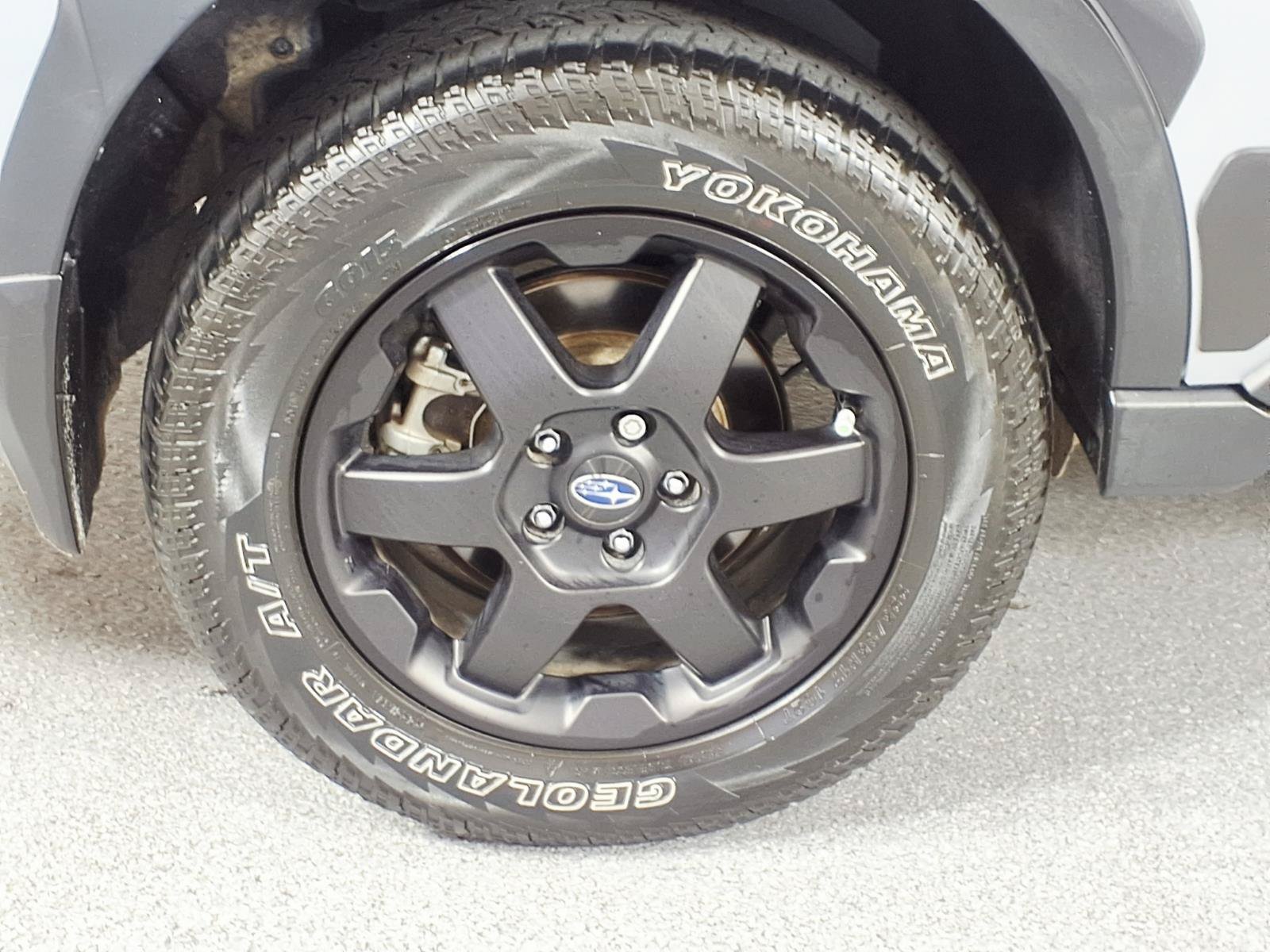 Used 2024 Subaru Outback Wilderness AWD/4WD image 5