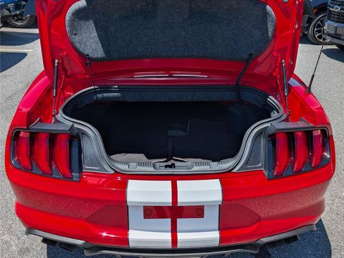 Used 2019 Ford Mustang GT Premium w/ Equipment Group 401A RWD image 14
