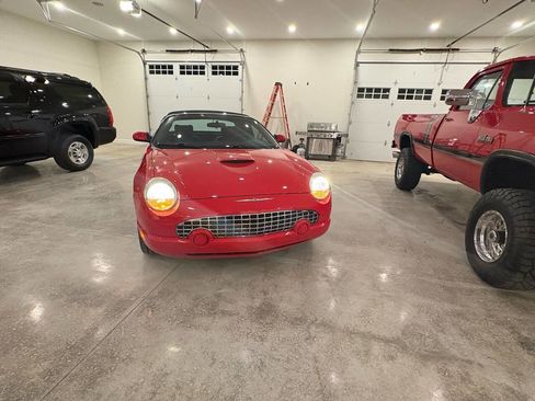 Used 2002 Ford Thunderbird Deluxe image 10
