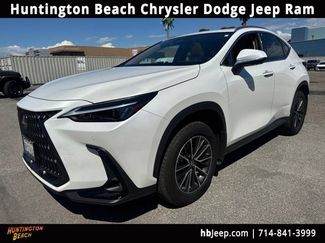Used 2025 Lexus NX 350h AWD w/ Cold Area Package video 1