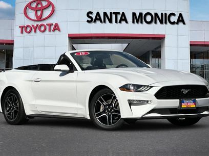 Used 2019 Ford Mustang Premium