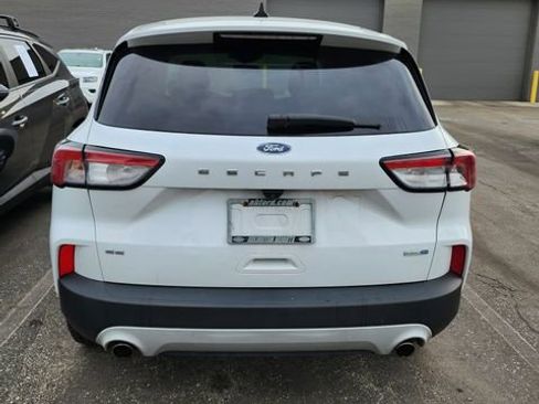 Used 2020 Ford Escape SE AWD/4WD image 9
