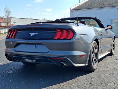 Used 2019 Ford Mustang Convertible RWD image 16