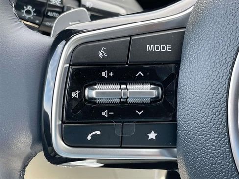 New 2026 Kia Carnival SX Prestige image 31