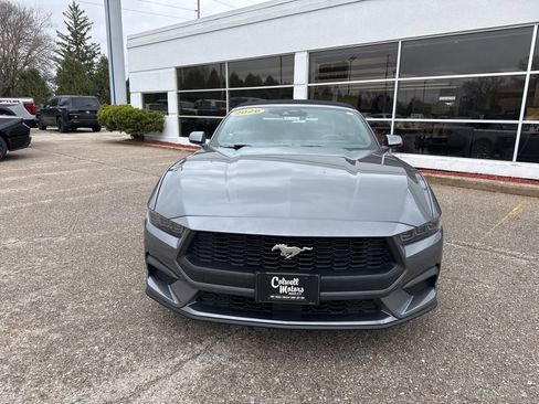 New 2026 Ford Mustang Premium RWD image 5