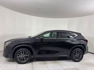 Used 2024 Lexus NX 250 FWD video 2