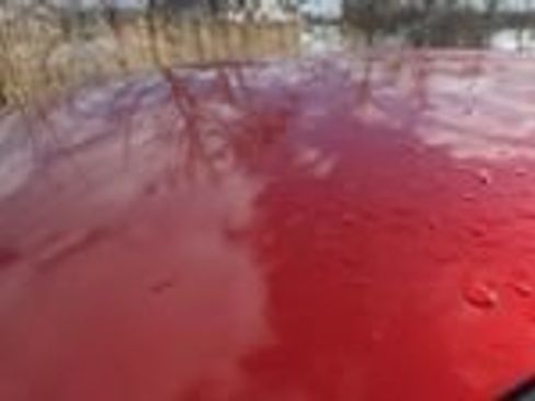 Used 2023 Ford Ranger XLT w/ Equipment Group 302A High image 42