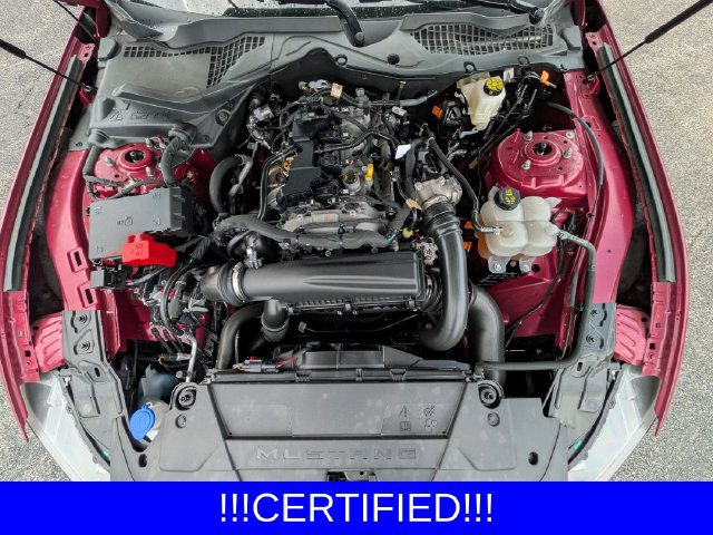 Certified 2025 Ford Mustang Premium w/ Mustang Nite Pony Package RWD image 22