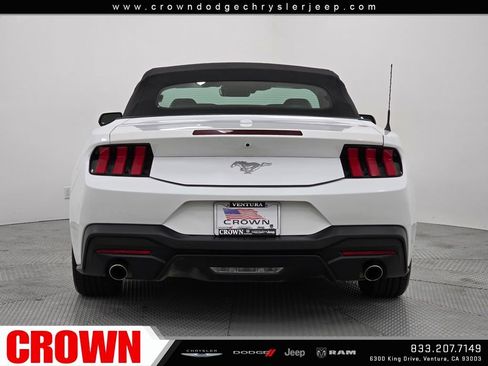 Used 2024 Ford Mustang EcoBoost image 14