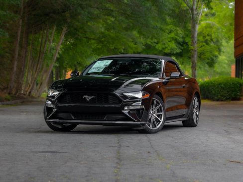Used 2019 Ford Mustang Premium w/ Equipment Group 201A RWD image 3