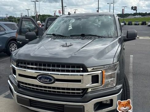 Certified 2019 Ford F150 XLT w/ Equipment Group 302A Luxury RWD image 1