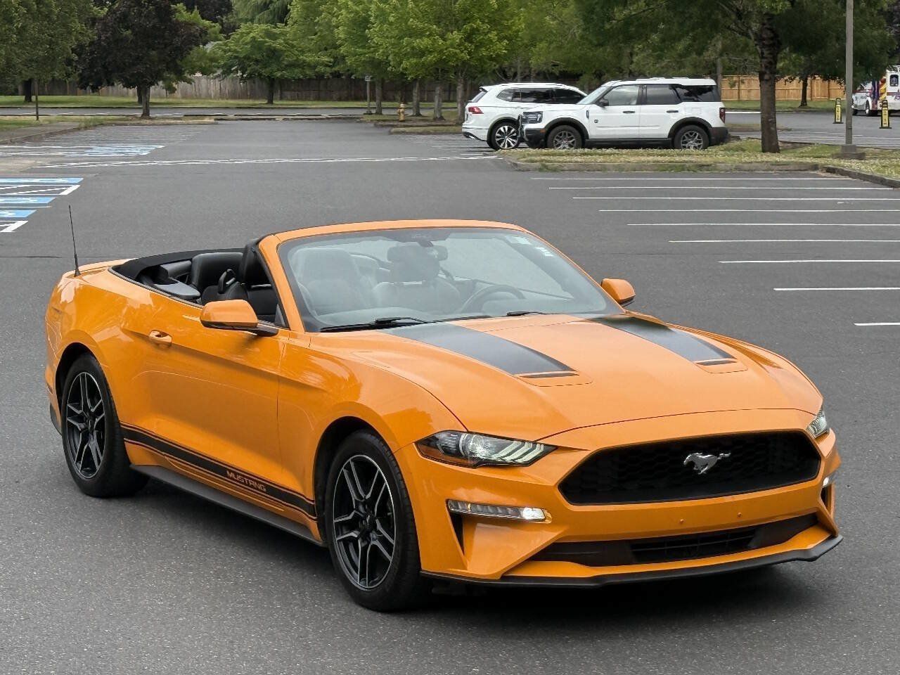 Used 2018 Ford Mustang Premium w/ Equipment Group 201A RWD image 3
