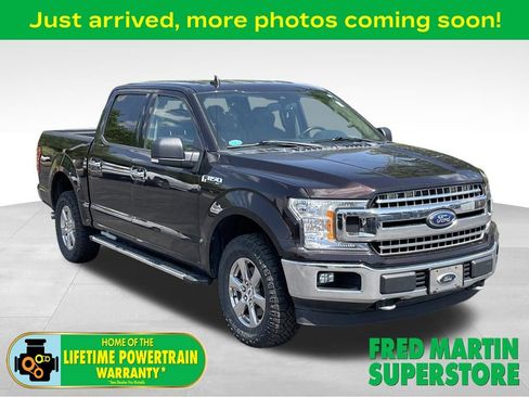 Used 2019 Ford F150 XLT w/ Equipment Group 302A Luxury AWD/4WD image 1