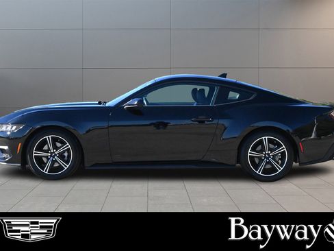 Used 2024 Ford Mustang Premium image 4