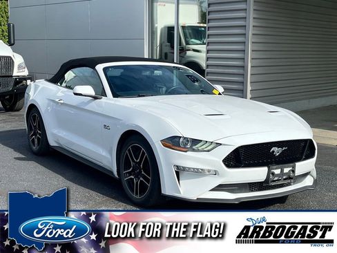 Used 2019 Ford Mustang GT Premium w/ Equipment Group 401A RWD image 1