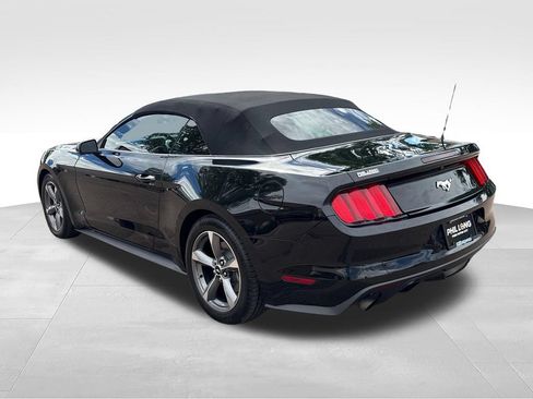Used 2015 Ford Mustang Premium w/ Equipment Group 201A RWD image 6