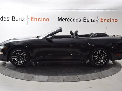 Used 2023 Ford Mustang Premium