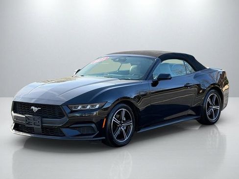 Used 2024 Ford Mustang Premium image 3