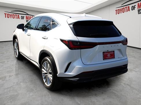 Used 2025 Lexus NX 350h AWD w/ Premium Package image 3