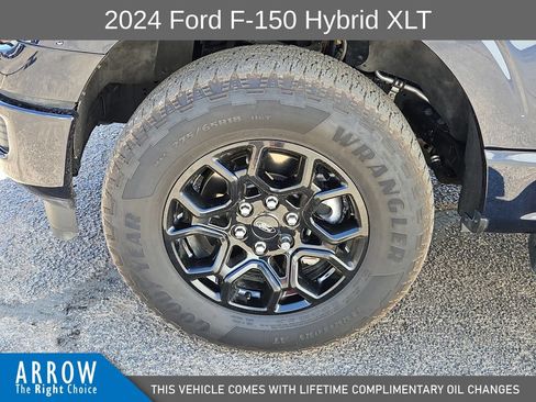 Used 2024 Ford F150 XLT w/ Equipment Group 302A MID AWD/4WD image 17