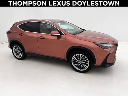 Used 2025 Lexus NX 350 AWD w/ Cold Area Package