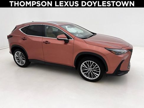 Used 2025 Lexus NX 350 AWD w/ Cold Area Package image 1