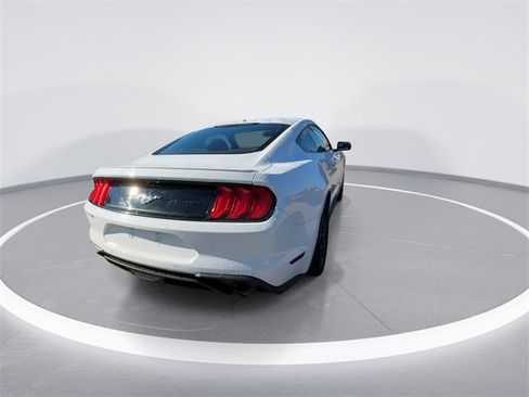 Used 2019 Ford Mustang Coupe w/ Equipment Group 101A image 7