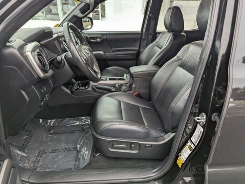 Used 2023 Toyota Tacoma Limited w/ Nightshade Package image 16