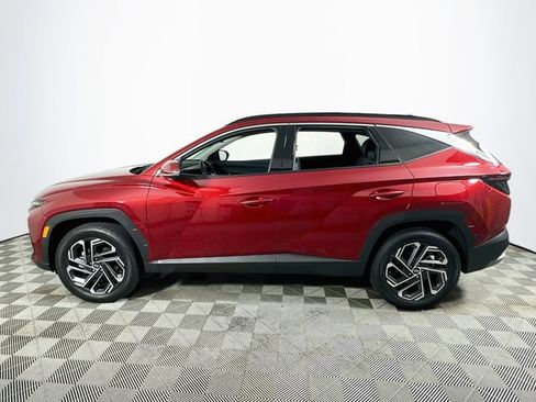 Used 2025 Hyundai Tucson Limited AWD/4WD image 6