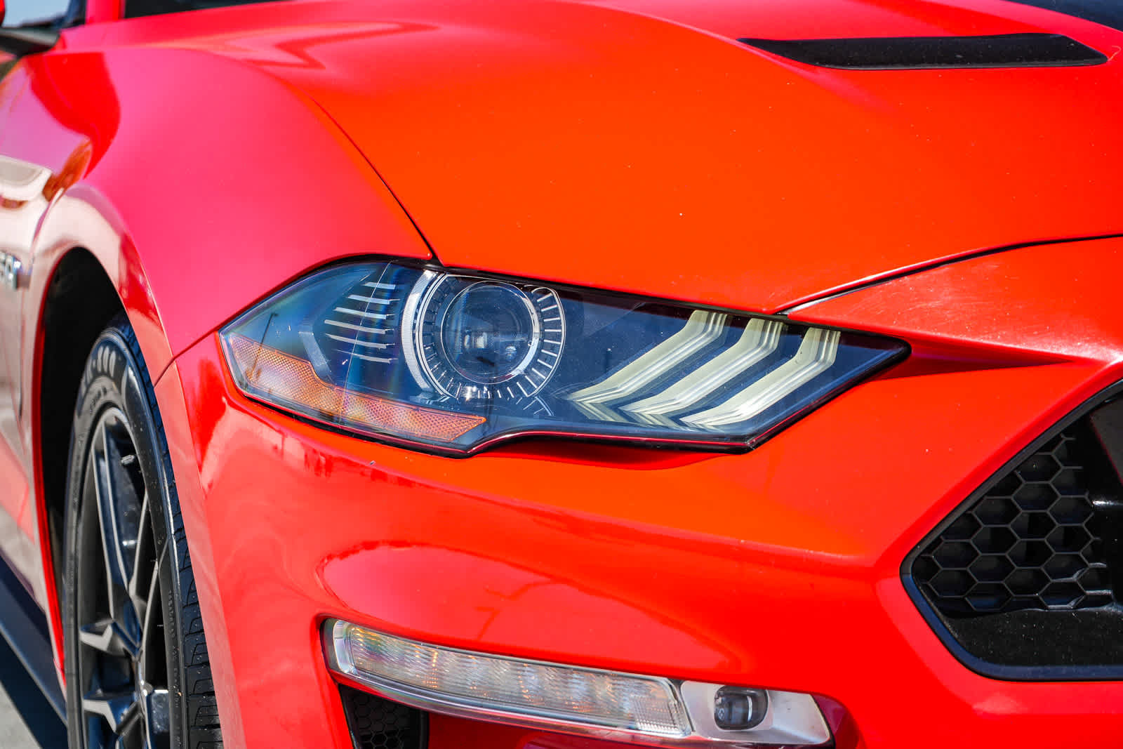 Used 2020 Ford Mustang GT Premium RWD image 5
