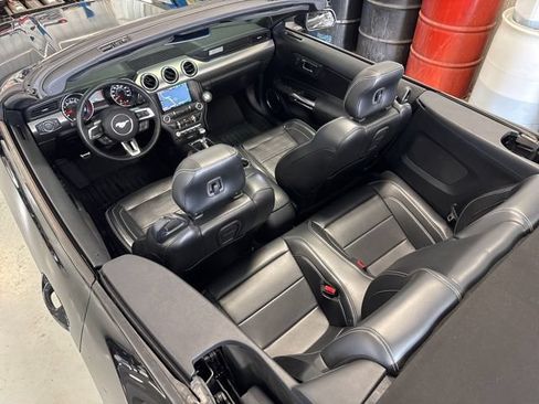 Used 2015 Ford Mustang GT Premium w/ 50 Years Appearance Package RWD image 5