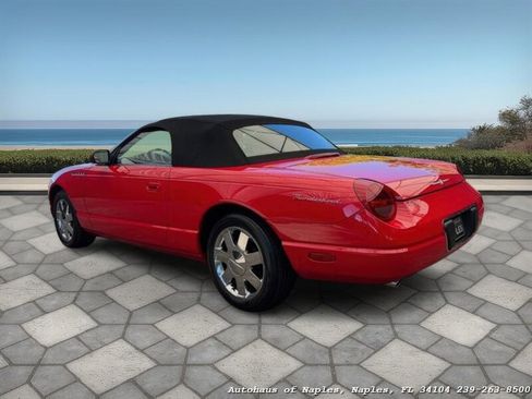 Used 2002 Ford Thunderbird Deluxe image 6