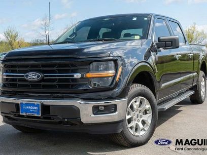 Used 2025 Ford F150 XLT w/ Equipment Group 301A Standard
