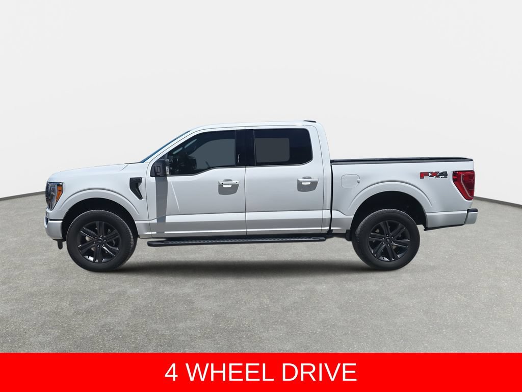Used 2023 Ford F150 XLT w/ Equipment Group 302A High AWD/4WD image 8