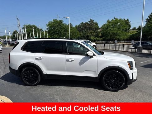 Used 2022 Kia Telluride SX w/ SX Prestige Package AWD/4WD image 8