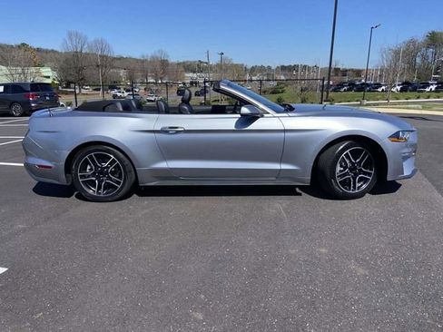 Used 2023 Ford Mustang Premium image 2