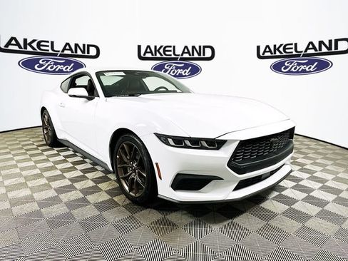 Used 2024 Ford Mustang Premium RWD image 1