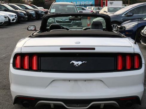 Used 2016 Ford Mustang Premium image 10