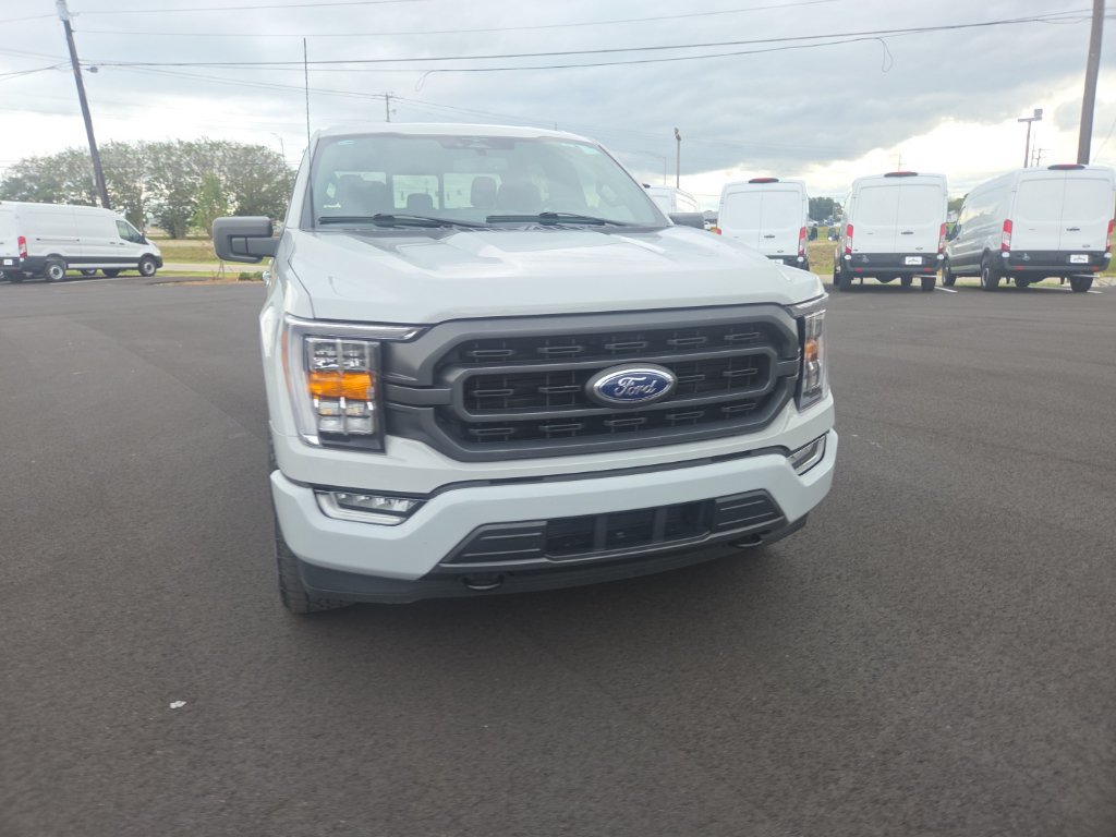 Used 2023 Ford F150 XLT w/ Equipment Group 302A High AWD/4WD image 2