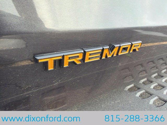 Used 2025 Ford Expedition Tremor AWD/4WD image 11