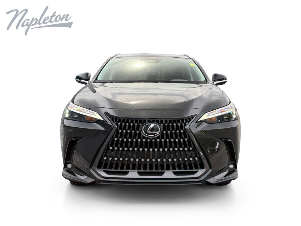 New 2026 Lexus NX 350 AWD w/ Cold Area Package image 9