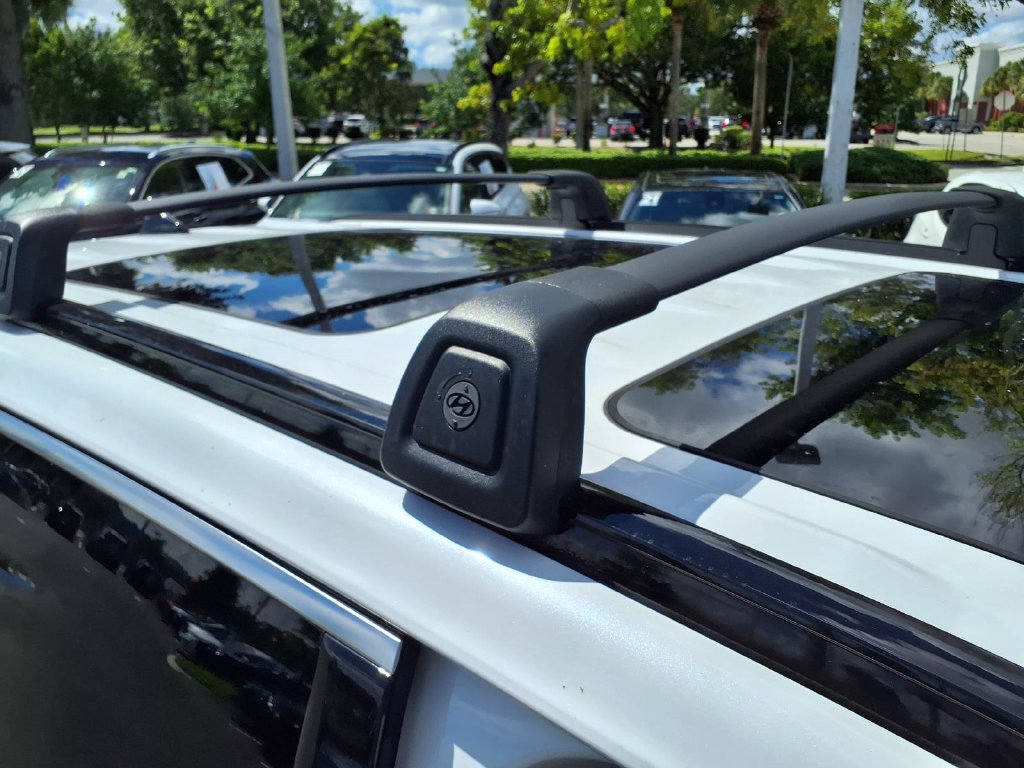 Used 2025 Hyundai Palisade Calligraphy AWD/4WD image 13
